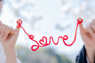 真冬のあざらし