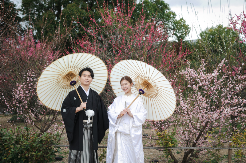 3月の河津桜 または梅
