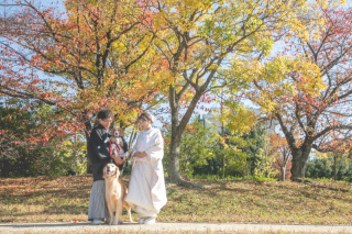 ペット撮影月間