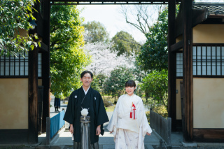 河津桜が満開みたいですね