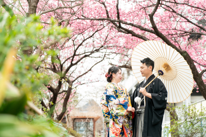 10月なりました！　3月は河津桜プラン