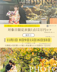 11月の土日キャンペーン