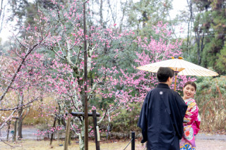 3月に入ってます！ようやく梅が見ごろです
