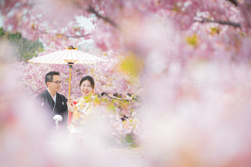 10月なりました！　3月は河津桜プラン