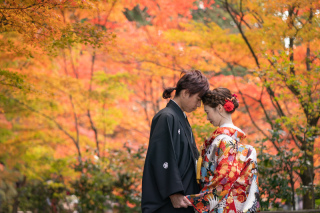 11月いい日空いてます！