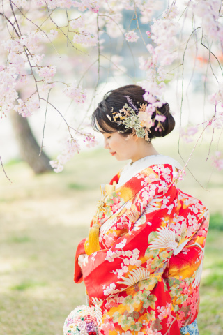 桜撮影早期予約　衣装２点２箇所ロケで149,800円は1月末までの早期予約特典！