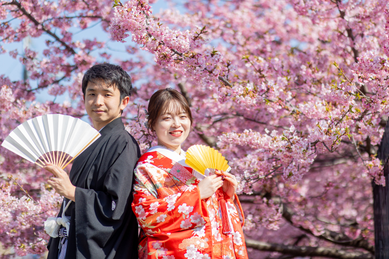 10月なりました！　3月は河津桜プラン