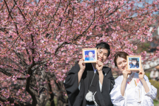 ソメイヨシノ開花宣言!!京都