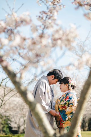 ˗ˏˋ 2024年神戸桜開花予想❀ ˎˊ˗