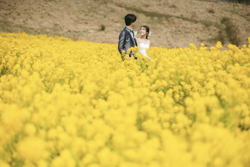 撮影スポットのご紹介＊淡路花さじき＊