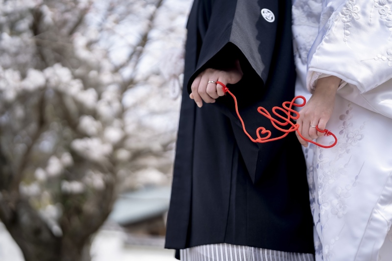 3月の空き状況のお知らせ*