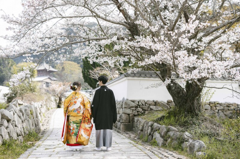 3月の空き状況のお知らせ*