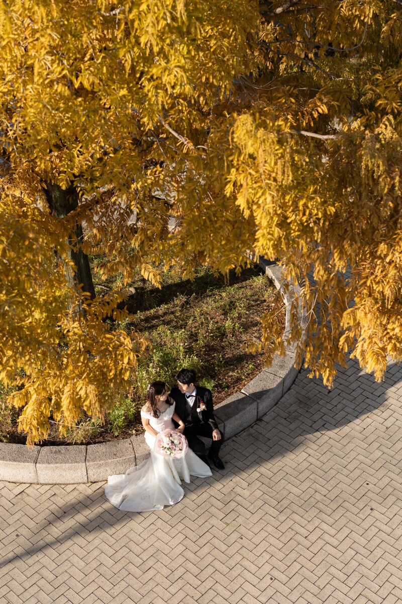 紅葉シーズン到来!秋の前撮りにぴったりなロケーション場所&お写真紹介◎