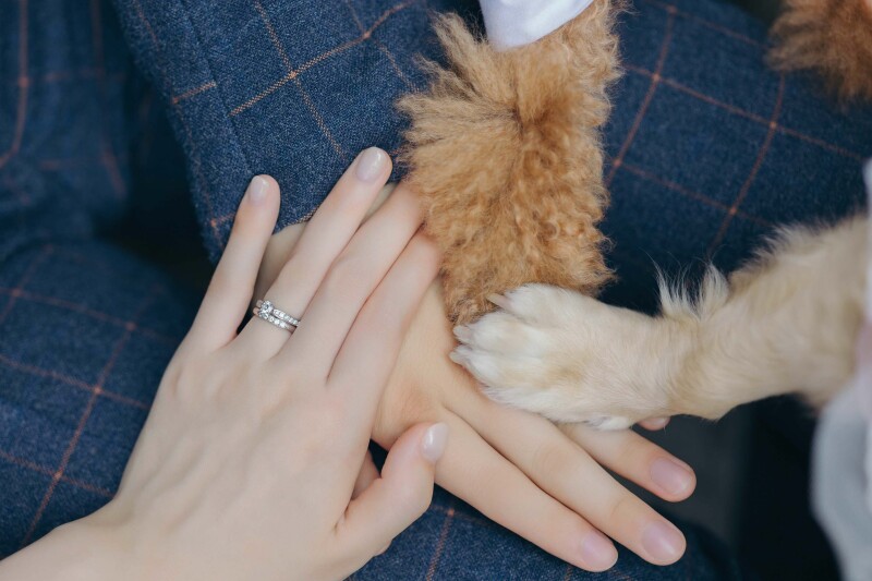 大切な家族と一緒に♪【ペットとの撮影】について❋