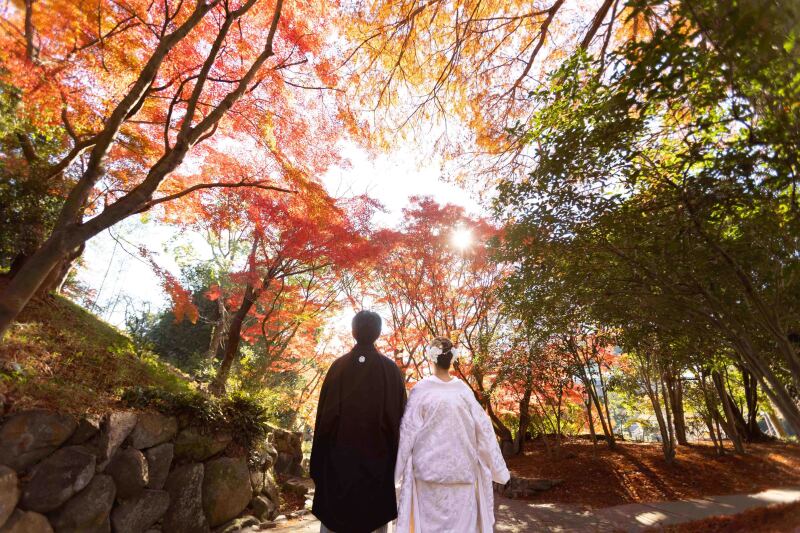 秋の魅力をご紹介!秋のお写真特集♪