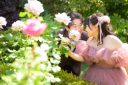 5月はバラが魅力のハートフィールド