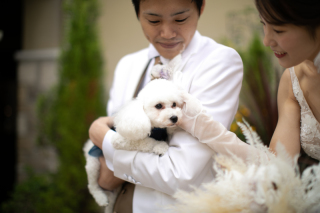 愛犬とフォトウェディング