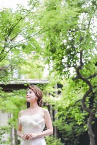 新緑フォト予約スタート♪