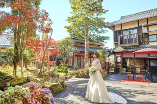 紅葉フォト予約スタート