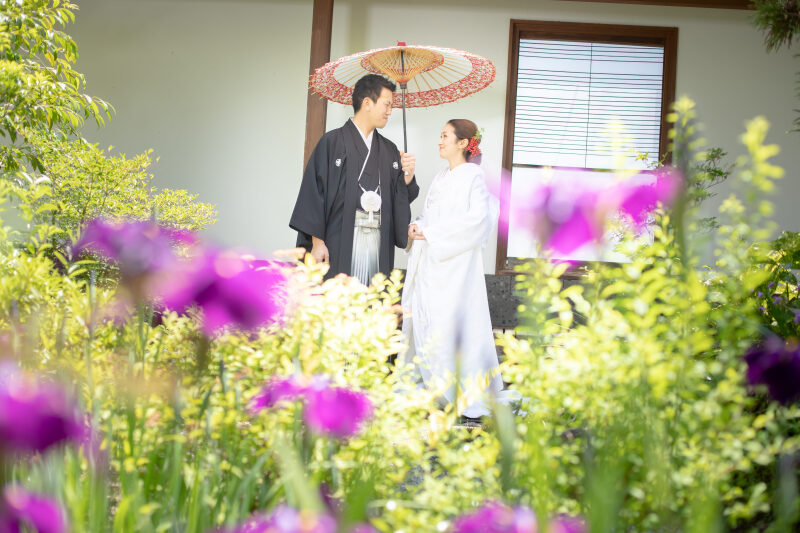 杜若が見頃です