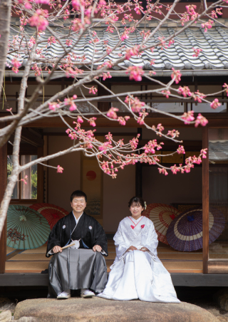 梅フォト撮影予約スタート