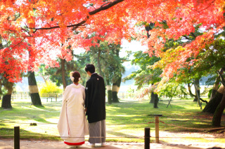 明けましておめでとうございます！