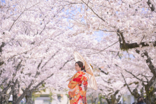 撮影レポート更新してます♪