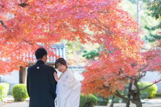 紅葉ロケ ♪