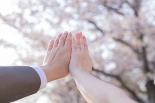 今年もたくさん桜を撮りました