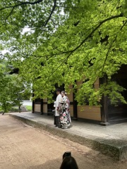 雨上がりの撮影♪