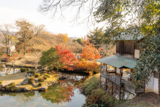 撮影レポート☆