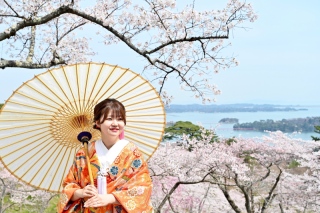 東北各地をめぐる 桜ロケーション撮影予約承り中!