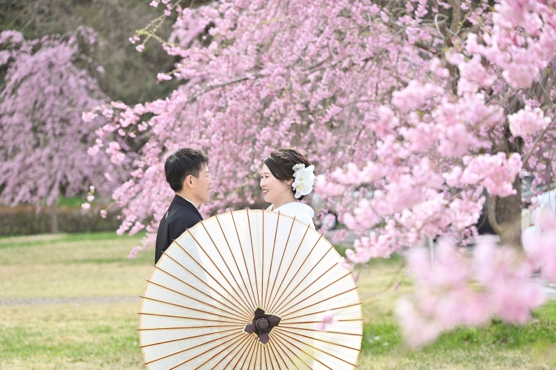 東北各地をめぐる 桜ロケーション撮影予約承り中