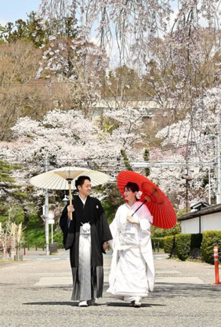 東北各地をめぐる 桜ロケーション撮影予約承り中