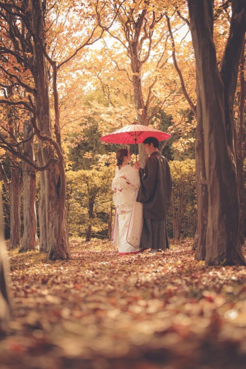 【紅葉ロケ】平岡樹芸センターをご紹介します