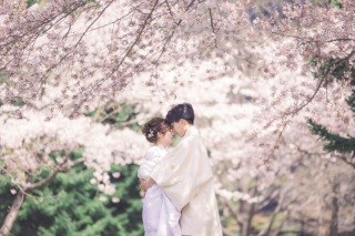 桜ロケ受付中!満開での撮影予約は今がラストチャンス!