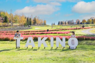 【ロケーションフォト】秋は紅葉だけじゃない！滝野すずらん公園の魅力