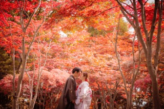 新プラン登場！ロケーション＆スタジオ両方叶う”ロケスタプラン”