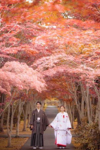 【紅葉ロケ】平岡樹芸センターをご紹介します
