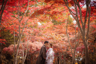 【ロケーションフォト】秋の紅葉ロケ始まりました