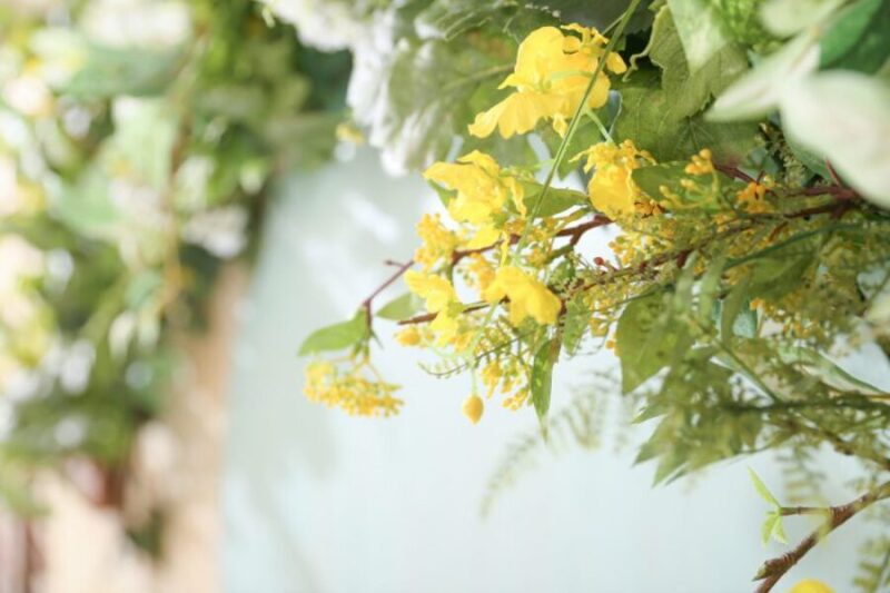 “フォトウエディング”でお写真にもお二人の思い出を残しませんか?・:*+