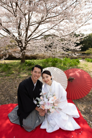 昭和記念公園での桜ロケ♡今ならシーズン料2.2万無料♪