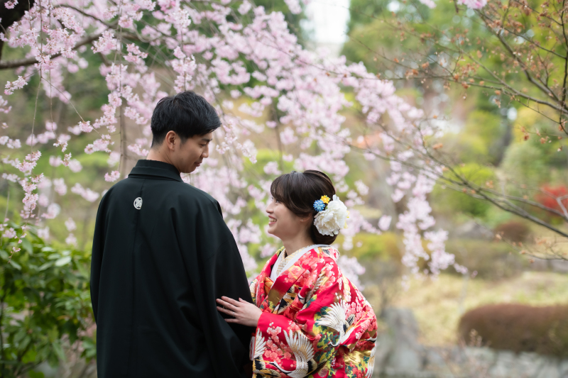 桜ロケ♡ラストチャンスです!