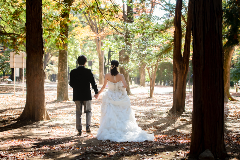 今日のご紹介ショット♪