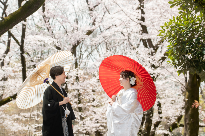 平日ゆったり♡桜ロケが叶う代々木公園で撮影しませんか✨