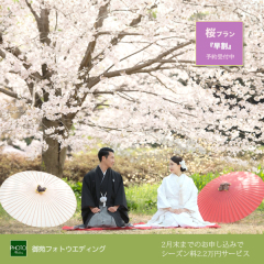 毎年完売する桜プラン受付中です♪