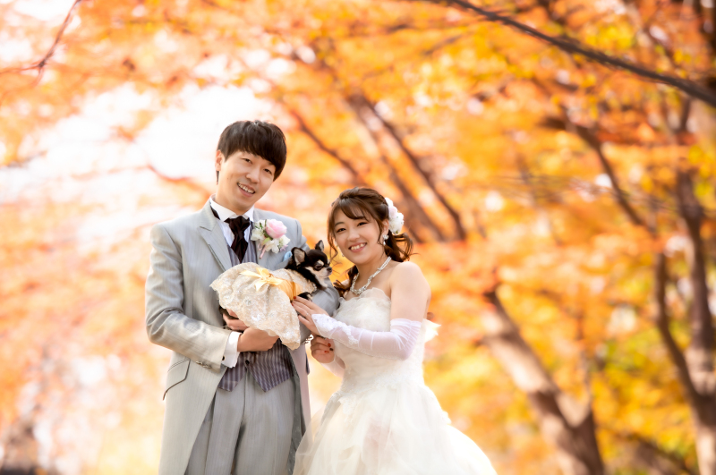 紅葉の代々木公園フォト！お早めにお問合せください♪