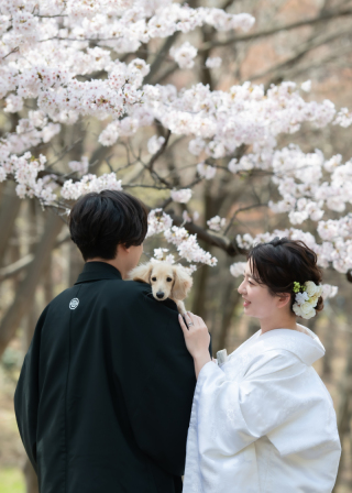 今日のご紹介ショット♪