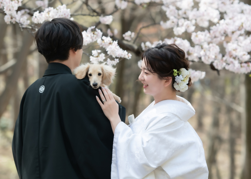 まだ間に合う！桜時期の代々木公園プラン！