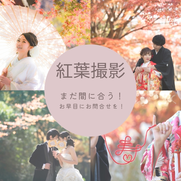 紅葉撮影★楽しみですね!